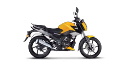 TVS Raider 125