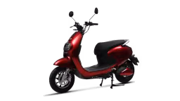 Evolet Pony