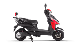 Joy e-bike Wolf