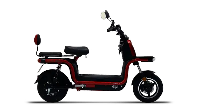 Okinawa Dual 100
