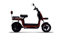 Okinawa Dual 100