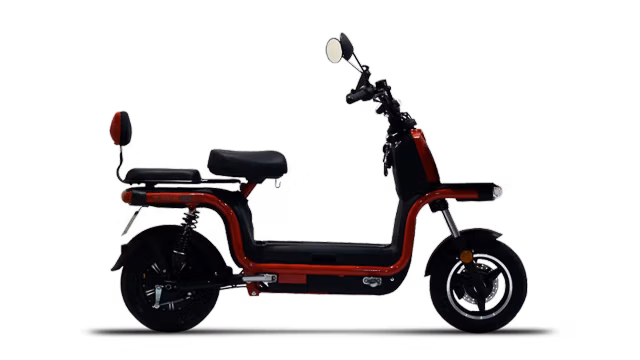 Okinawa Dual 100